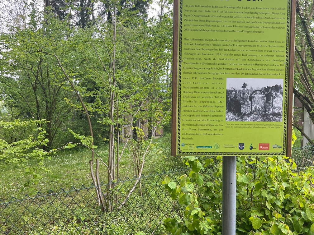 22-04-25 11-56-47 0623